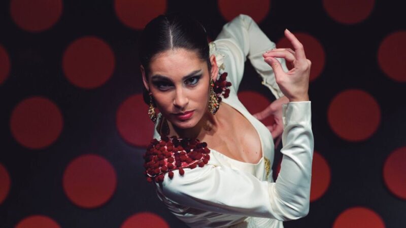 Barcelona: 4-Hour Tapas Evening Tour and Flamenco Show - Who Will Love This Tour?