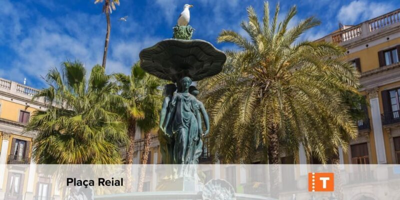 Barcelona: All-Inclusive City Card & Public Transport Option - Practical Tips & Considerations