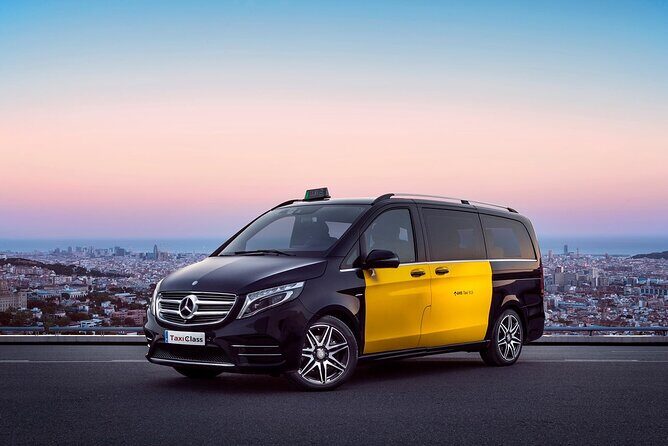 Barcelona Arrival Cruise Port to Airport private transfer - The Booking and Cancellation Process