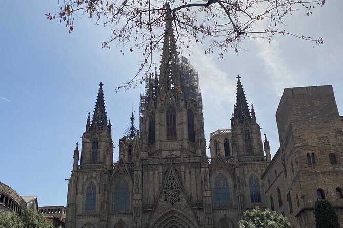 Barcelona: Bar Crawl at Gaixample - The Sum Up