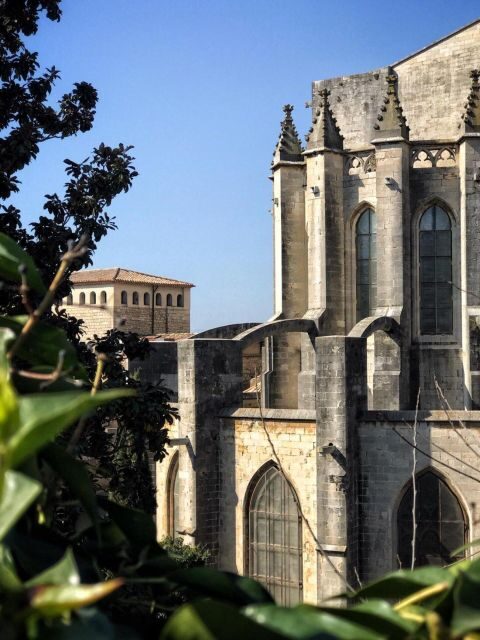 Barcelona: Barcelona, Girona & Besalú Jewish History Tour - In The Sum Up