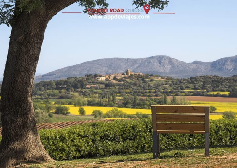 Barcelona: Besalú, Figueres, and Girona Day Trip with Lunch - What Makes This Tour Stand Out?