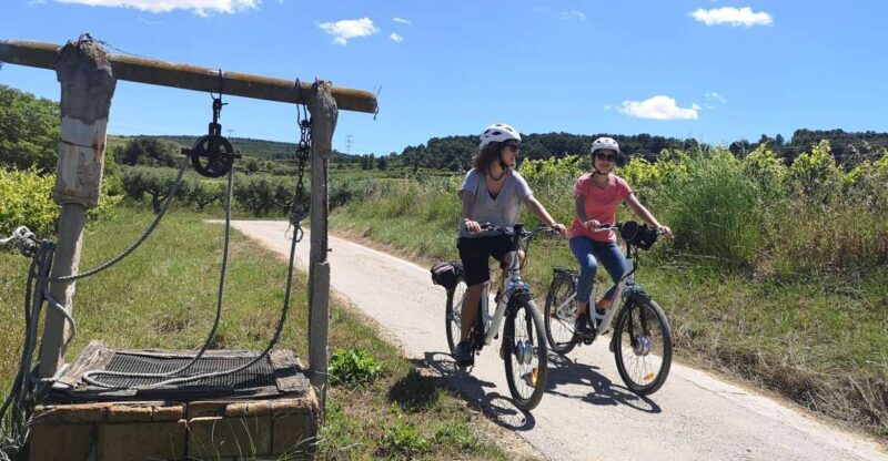 Barcelona: Bike & Wine Guided Tour - Penedès vineyards - Key Points