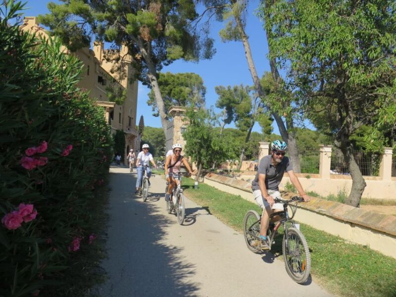 Barcelona: Bike & Wine Guided Tour - Penedès vineyards - Final Thoughts
