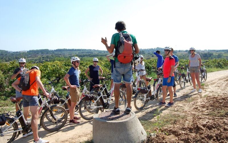 Barcelona: Bike & Wine Guided Tour - Penedès vineyards - FAQs