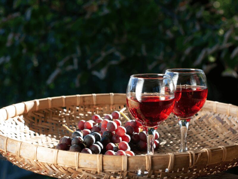 Barcelona: Carcassonne & Girona Tour - Final Thoughts