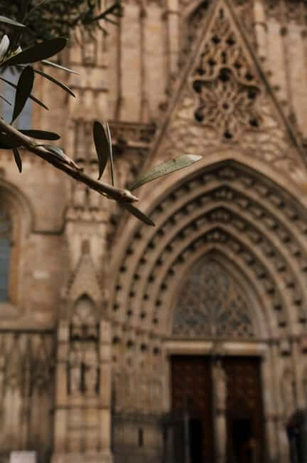 Barcelona: Cathedral of Barcelona Guided Tour - Final Thoughts: Is This Tour for You?
