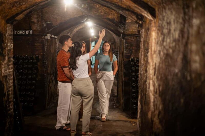 Barcelona: Cavas Hill - Winery Tour & Cheese Tasting - Final Thoughts