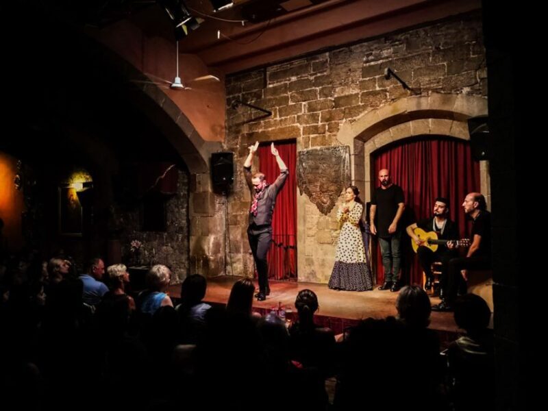 Barcelona: City Tour & Flamenco Show with Wine & Tapas - Who Will Love This Tour?