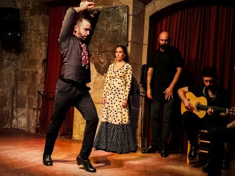 Barcelona: City Tour & Flamenco Show with Wine & Tapas - Practical Considerations & Tips