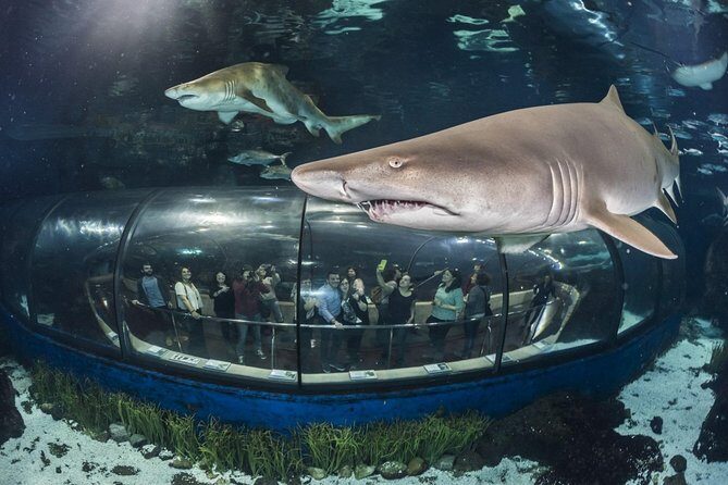 Barcelona City Tour Hop-On Hop-Off and Aquarium - Exploring the Itinerary: What You Can Expect
