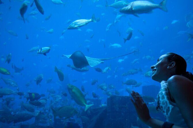 Barcelona City Tour Hop-On Hop-Off and Aquarium - Authentic Insights from Reviewers