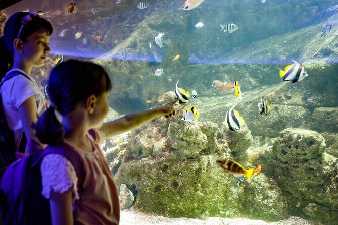 Barcelona City Tour Hop-On Hop-Off and Aquarium - Final Thoughts: Is This Tour for You?