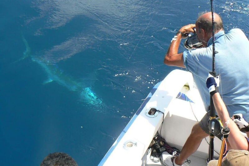 Barcelona: Coastal Fishing Trip - Is This Tour Worth the Price?