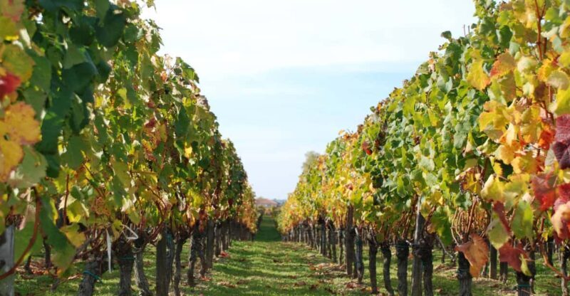 Barcelona: Coastline E-Bike and Wine Tasting Tour - Final Thoughts: Is This Tour for You?