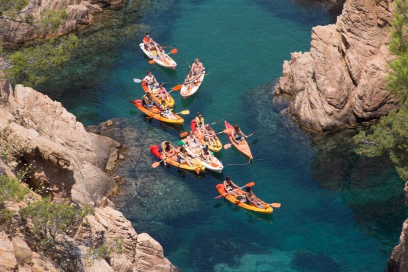Barcelona: Costa Brava Kayak, Snorkel & Cliff Jump & Lunch - Key Points
