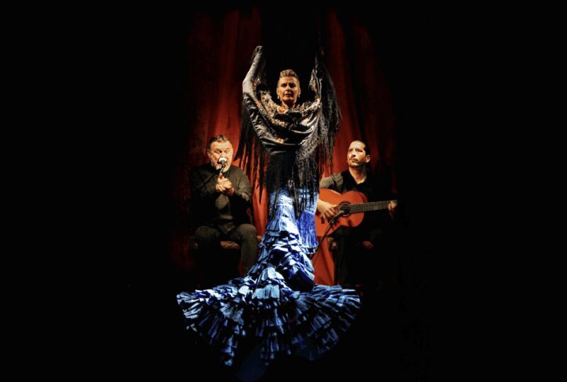 Barcelona: Flamenco Premium Show and Tour Guitar Museum - Final Thoughts: Who Will Love This Experience?