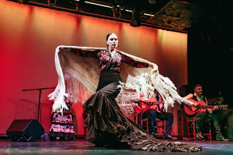 Barcelona: Flamenco Show at the Theater - Who Is This Flamenco Show Best For?