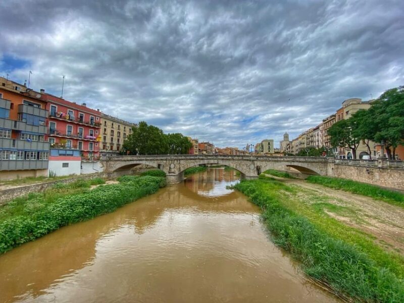 Barcelona: Girona Province Day Trip with Dali Museum Entry - Why This Tour Stands Out