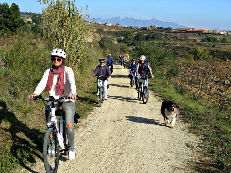 Barcelona: Guided Half-Day Wine and Electric Bike Tour - What to Expect from This Penedés Wine and Bike Tour
