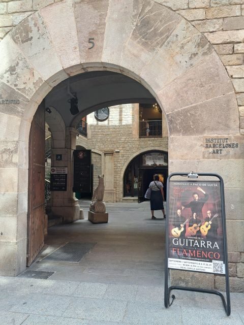 Barcelona: Guitar Trio & Flamenco Dance @Pignatelli Castle - An In-Depth Look at the Experience