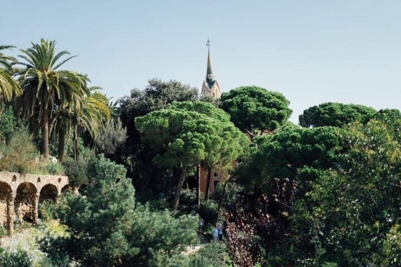 Barcelona: Half-Day Private Tour with Driver - Why Choose a Private Tour in Barcelona?