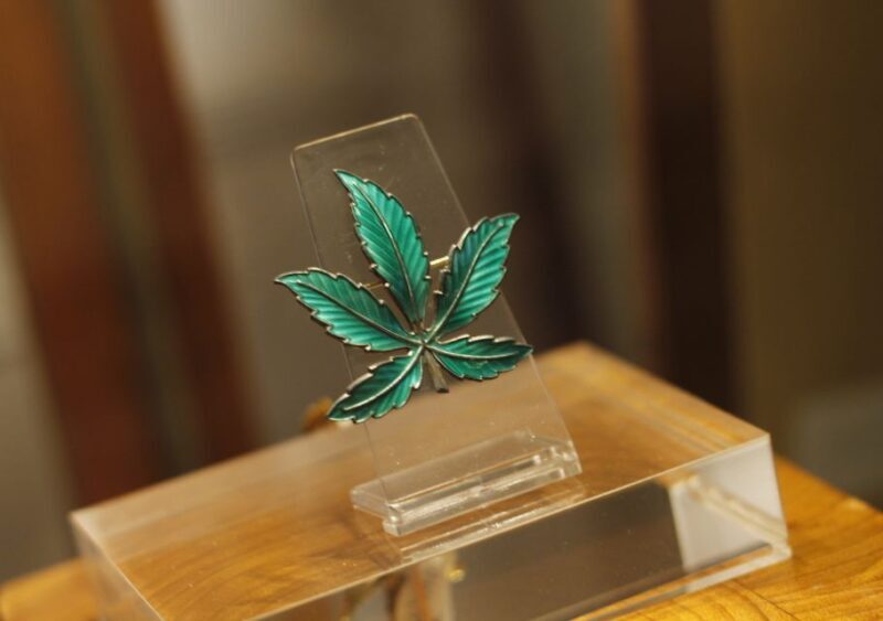 Barcelona: Hash Marihuana & Hemp Museum Entry Ticket - An In-Depth Look at the Hash Marihuana & Hemp Museum Experience