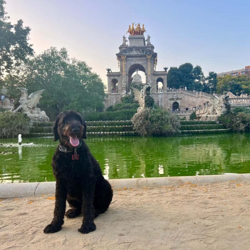 Barcelona: Hidden Gems Walking Tour with a Local & Dog - Key Points