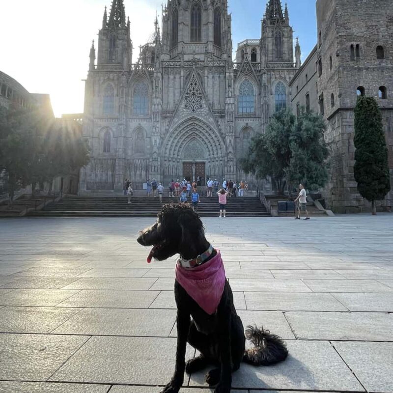 Barcelona: Hidden Gems Walking Tour with a Local & Dog - Diving Into the Experience