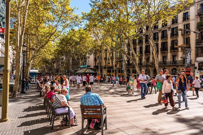 Barcelona Highlights Private Guided Tour with Hotel Pick-up - Who Would Love This Tour?