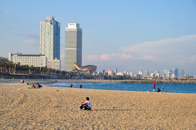 Barcelona Highlights Private Tour with Driver and Official Guide - Who Is This Tour Best For?