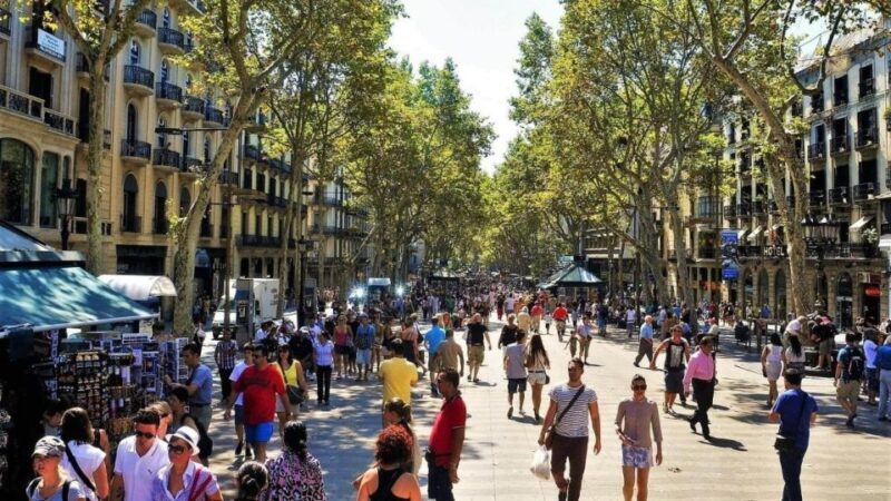 Barcelona Historic Guided Tour - Barcelona Historic Guided Tour: A Deep Dive into the Gothic Quarter’s Charm