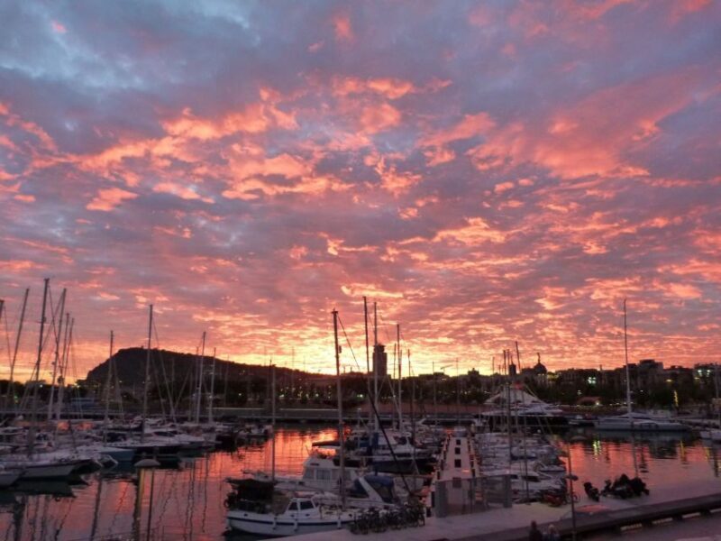 Barcelona: History Museum of Catalonia Skip-The-Line Ticket - Key Points