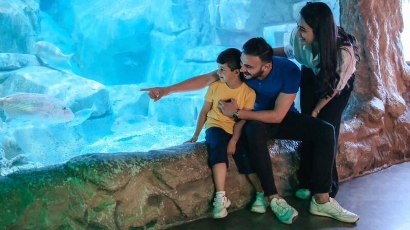 Barcelona: Hop-On Hop-Off Bus & Aquarium Tour - The Sum Up