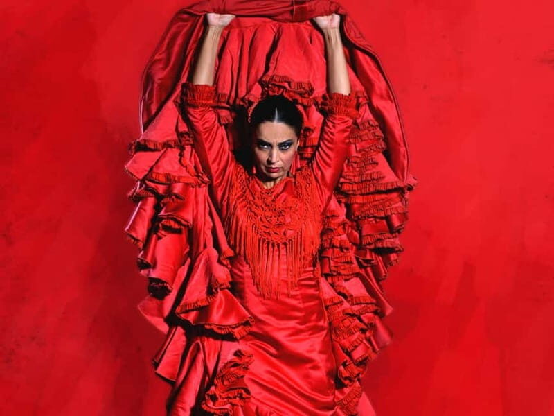 Barcelona: "Inspiration" Live Flamenco Show - Practical Information at a Glance