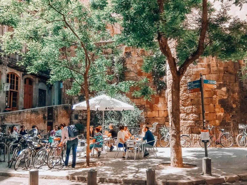 Barcelona: Introduction to the Gothic Quarter Walking Tour - Who Should Consider This Tour?