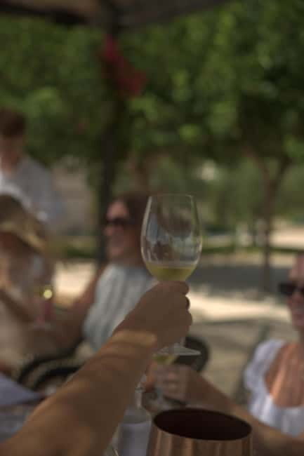 Barcelona: Luxury Wine Tour to Penedès with Tasting & Tapas - A Closer Look at the Experience
