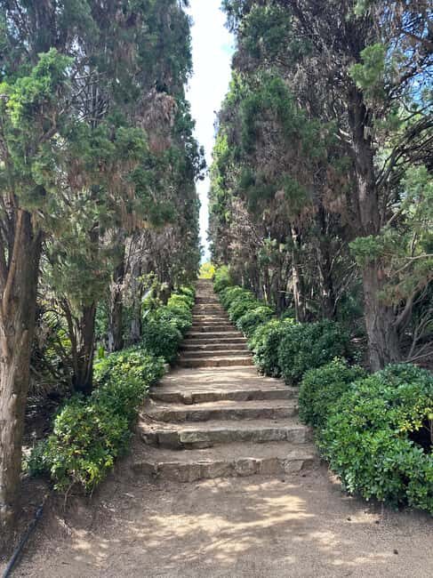 Barcelona: Marimurtra Blanes Costa Brava /+ Wine Tour +Tapas - Who Will Love This Tour?