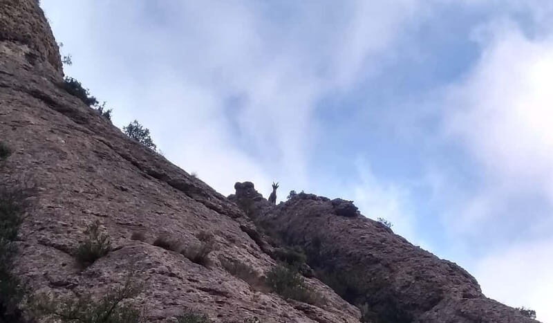 Barcelona: Montserrat Monastery and Natural Park Guided Tour - The Sum Up: Who Is This Tour Best For?