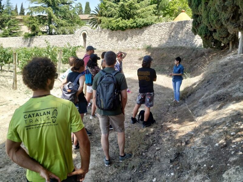 Barcelona: Montserrtat Hike and Winery Tour with Tasting - Discovering Montserrat: A Natural and Cultural Marvel