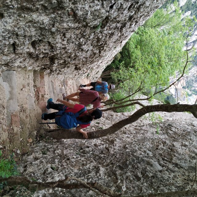 Barcelona: Montserrtat Hike and Winery Tour with Tasting - Practical Details and Overall Value