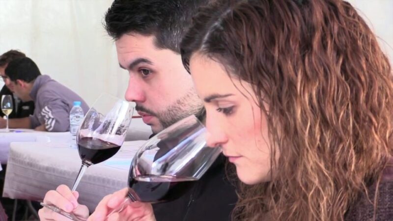 Barcelona: Montserrtat Hike and Winery Tour with Tasting - Who Would Enjoy This Tour?