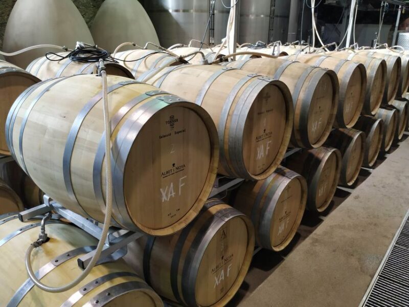 Barcelona: Montserrtat Hike and Winery Tour with Tasting - FAQs