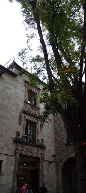 Barcelona: Mystical Walking Tour in the Gothic Quarter - Key Points