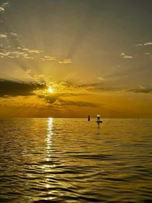 Barcelona: Paddleboarding at Sunrise. Includes: instructor, photos, equipment - Key Points