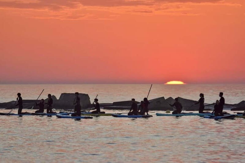 Barcelona: Paddleboarding at Sunrise. Includes: instructor, photos, equipment - Setting the Scene: What to Expect on the Sunrise Paddleboarding Tour