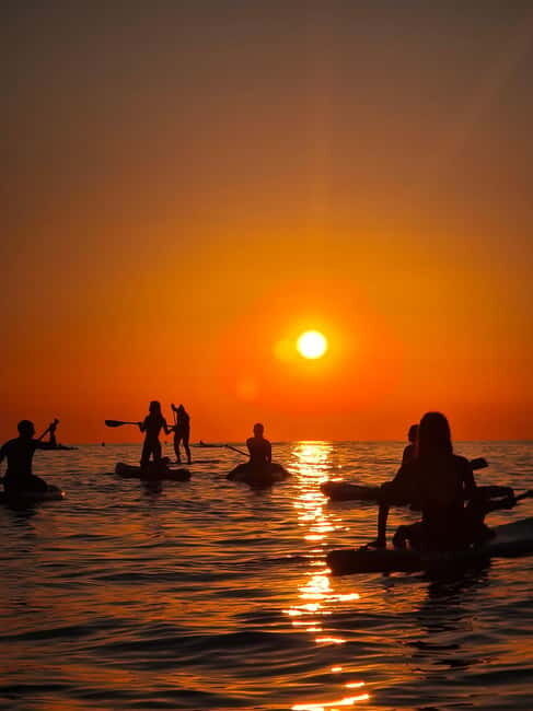 Barcelona: Paddleboarding at Sunrise. Includes: instructor, photos, equipment - The Sum Up