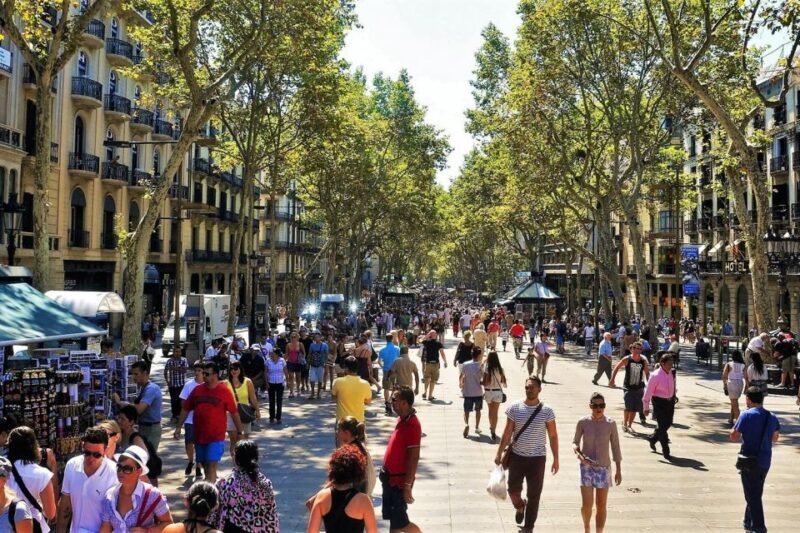 Barcelona & Park Güell: Private Half-Day Tour with Pickup - The Sum Up