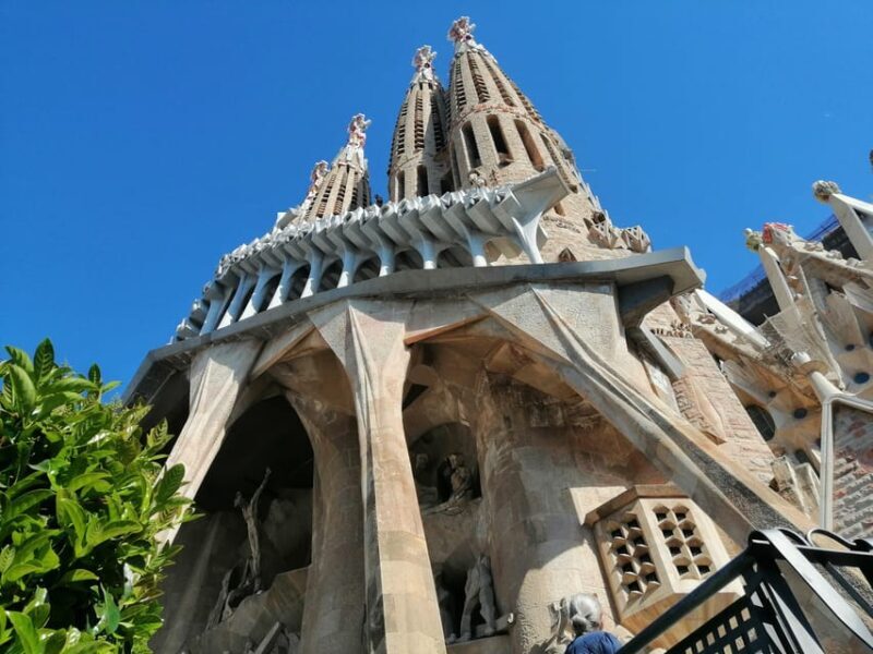 Barcelona: Park Güell Skip-the-Line Guided Tour - A Deep Dive into the Tour Experience