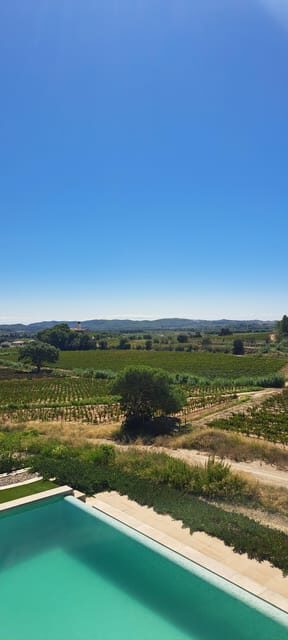 Barcelona: Penedès Vineyard Horseback Ride with Wine Tasting - Key Points